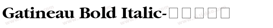 Gatineau Bold Italic字体转换